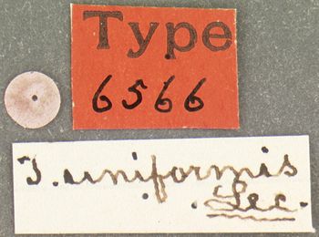 Media type: image; Entomology 6566   Aspect: labels